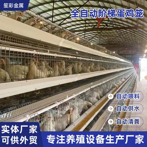 阶梯蛋鸡笼A型多层叠式镀锌丝蛋鸡笼鸡舍养鸡自动机化械设备鸡笼