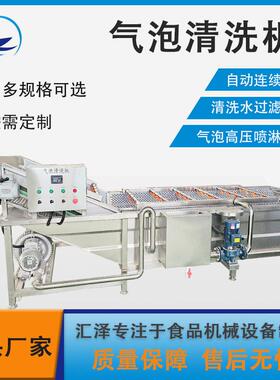 全自动喷淋式蓝莓气泡清洗机苹果气泡清洗机不锈钢果蔬清洗机