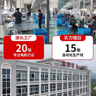 双出轴直流电机 双出轴混合式电机 59D56C401-02电机