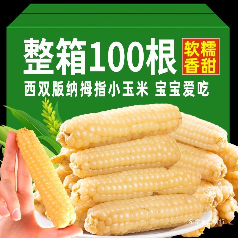 10斤云南西双版纳拇指小玉米新鲜傣家香糯迷你手指玉米真空装早餐