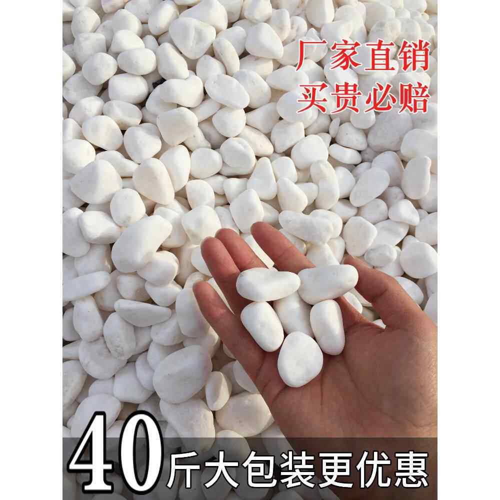 天然白石子庭院铺路鹅卵石白色石子颗粒小白石头阳台造景景观砾石