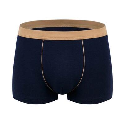Mens Cotton Underwear Man Stretchy Boxers Briefs, Large Size