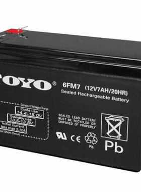 JAPATOYO东洋蓄电池6GFM100 6FM7 17 24 33 65应急UPS电源12v40ah