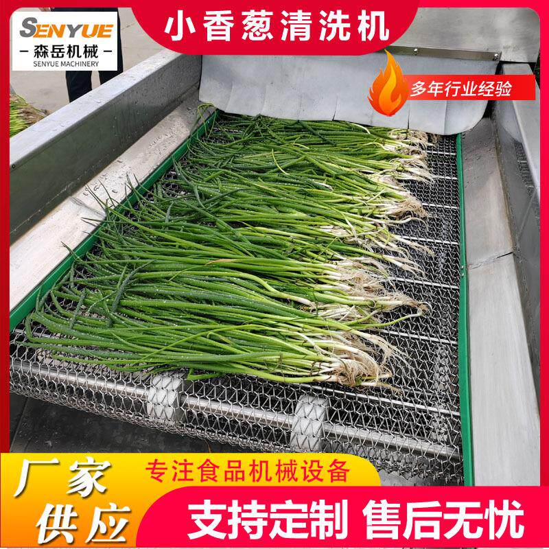 全自动洗葱机香葱韭菜清洗机果蔬不锈钢不伤皮高压喷淋清洗机厂家