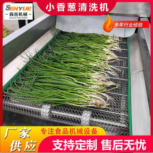 全自动洗葱机香葱韭菜清洗机果蔬不锈钢不伤皮高压喷淋清洗机厂家