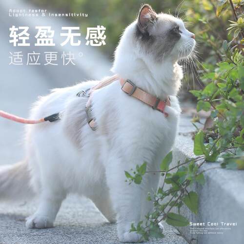 直销新款新款猫咪牵引绳遛猫绳工字型防挣脱猫咪牵引网红外出猫绳