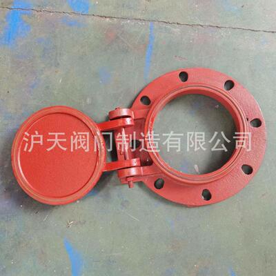 阀门拍门FPM球墨铸铁水管道拍门ND50-DN1000