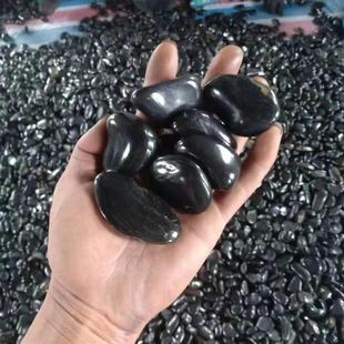 白色雨花石鱼缸垫五雨花石园359林庭院公园小路铺设雨花底彩石