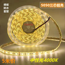 LED灯带12v超高亮自然白4000K贴片24v中性光家用客厅吊顶防水灯条