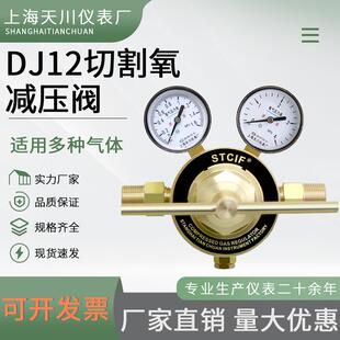 切割氧减压阀DJ12 燃气减压阀 GAS 气体全铜管道高压减压阀 OXY