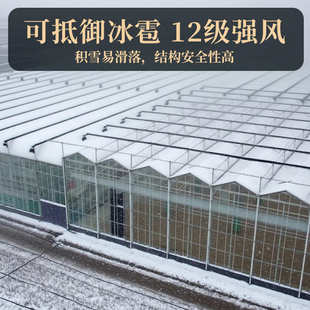 智能玻璃温室大棚连栋蔬菜大棚观光温室餐厅采摘大棚花卉养殖大棚