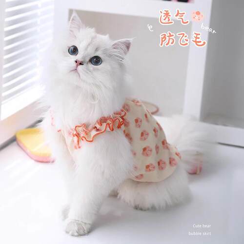猫咪衣服夏天防掉毛薄款纯棉猫小猫布偶物猫猫的可爱夏24Y0025G季