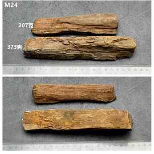 高档木黑龙江化石冰河时期树化玉化木原石件天然奇硅石观赏石标摆