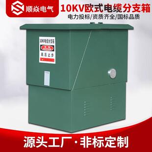 630A一进一二三出户外高压分接箱 高压电缆分支箱DFW 10KV欧式