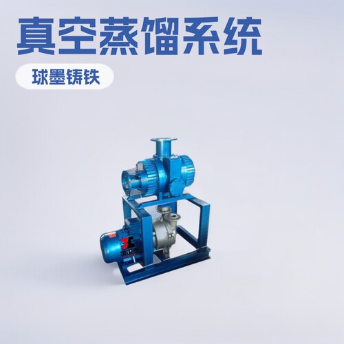 JZJ2S150-1系罗茨水环真空机组油脂真空蒸馏/精馏抽真空精馏系统