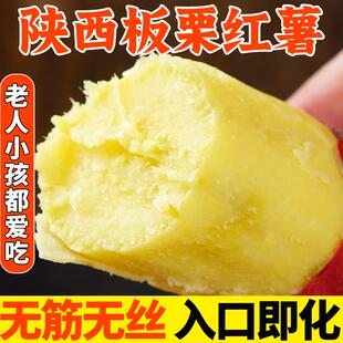 陕西临潼正宗板栗红薯新鲜小香薯桥头地瓜农家自种黄糖心沙地蜜薯