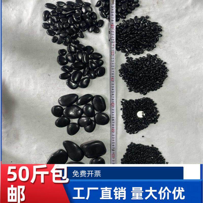 50斤包邮抛光黑色鹅卵石微景观石子瓜米石黑色雨花石黑石子小石头