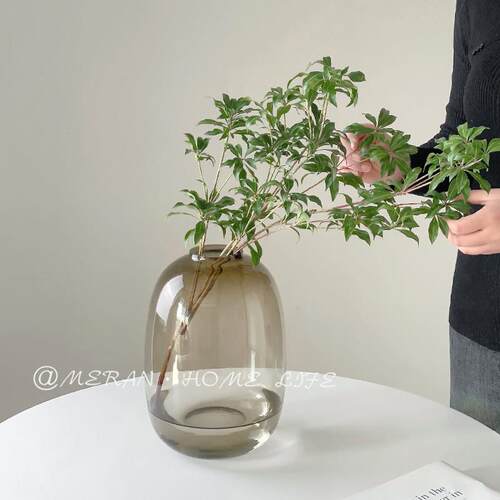 轻奢高级感玻璃花瓶摆件水培吊钟雪柳马醉木水培插花客厅落地装饰