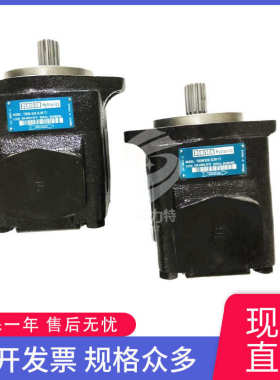 -维修胆叶片2r00-逊066泵泵-油泵a1mot7es丹尼denison