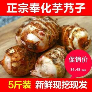 广西荔浦芋头旗舰店正宗奉化特产芋艿头小芋头5斤 非溪口新鲜农家