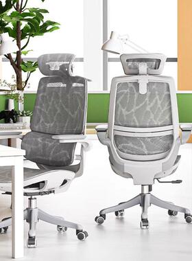 人体工学椅M59双背电脑椅家用办公座椅电竞椅久坐学习转椅子护腰