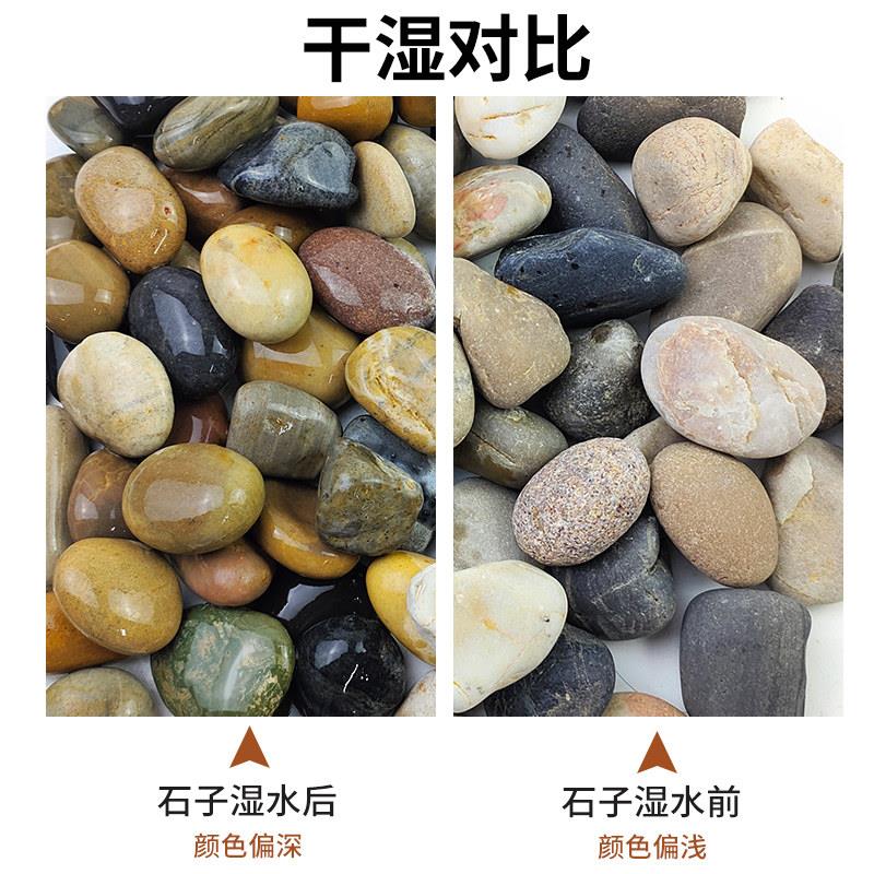 50斤鹅卵石庭院地铺路鱼缸花园造天然石铺雨花石原大小鹅景软WOY