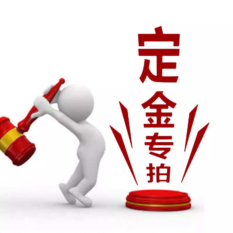 定金专拍定不退不换石雕古朴立体动物模型简约