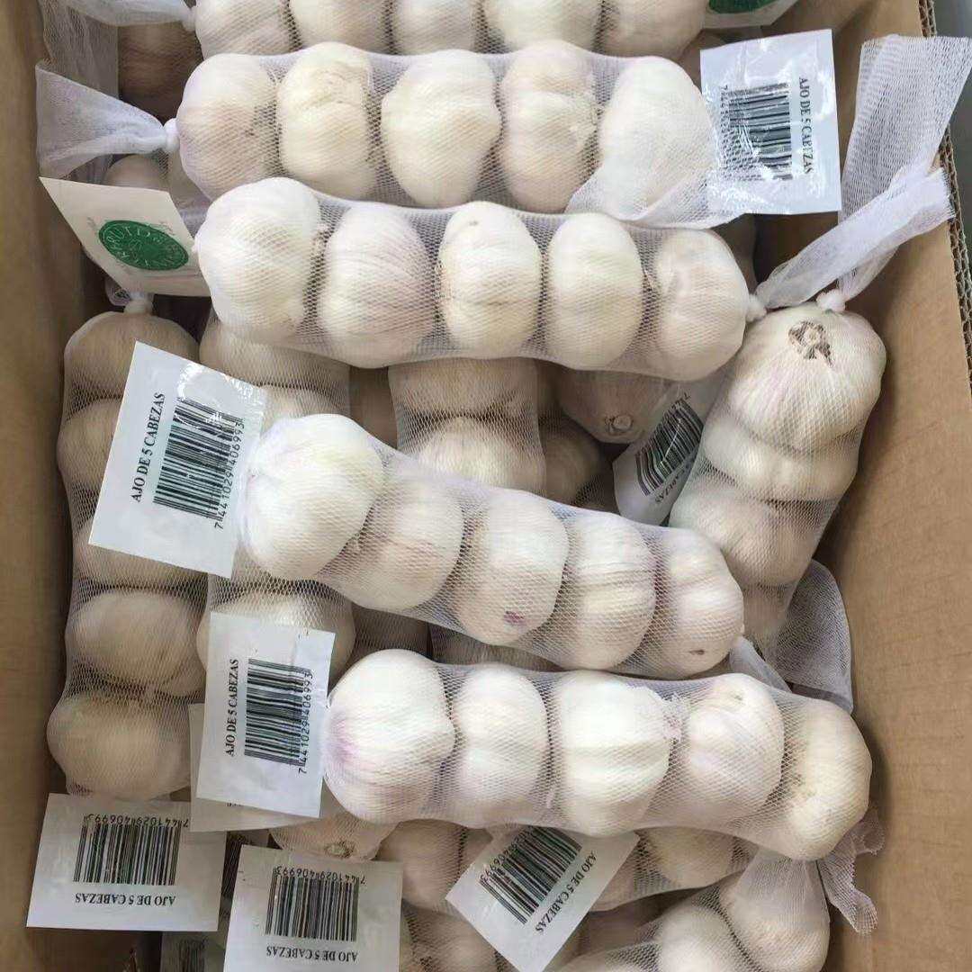 厂家冷链速冻蒜泥冷冻大蒜姜蒜丁蒜米大蒜调味馅料冷冻大蒜