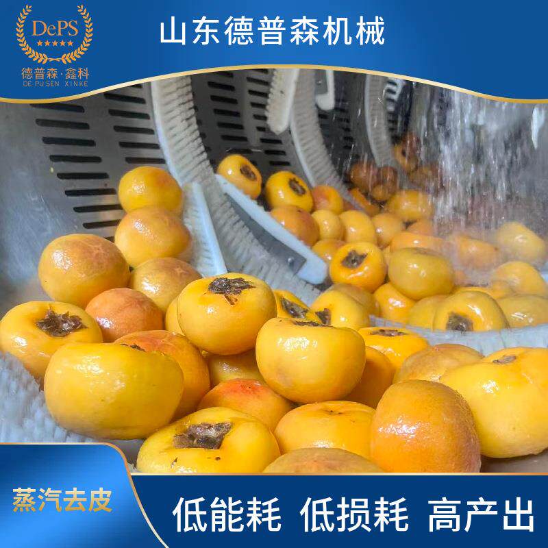 大型连续式高温去皮设备全自动商用柿子红薯圣女果蒸汽去皮机