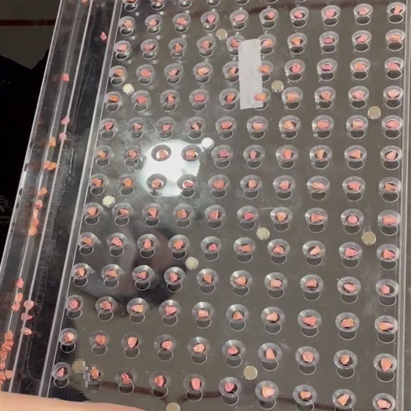 播种菜籽玉米播种器莴笋穴盘辣椒播种机播种器播种器其他