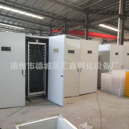 全自动孵化机鸡鸭鹅鸽子鹌鹑鸟孵化箱出雏育雏孵化器设备厂家直销