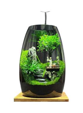 （云海间）微景观创意假山造景植物家居室内客厅办公室桌面摆件。