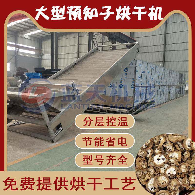 网带预知子烘干机全自动八月瓜八月炸干燥机预知子切片烘干设备