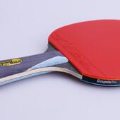 供生及成人训练 正品 双面防胶 竖拍 学三及星乒乓球拍明星横