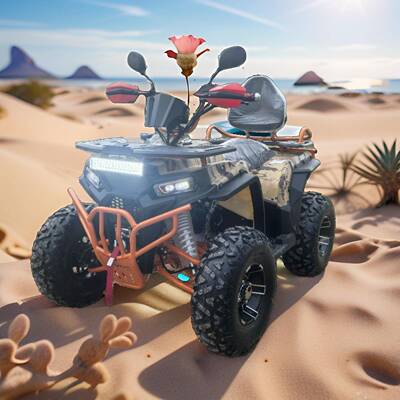 大天狼200CC四轮ATV沙滩车全地形车山地越野摩托车后驱无级变速