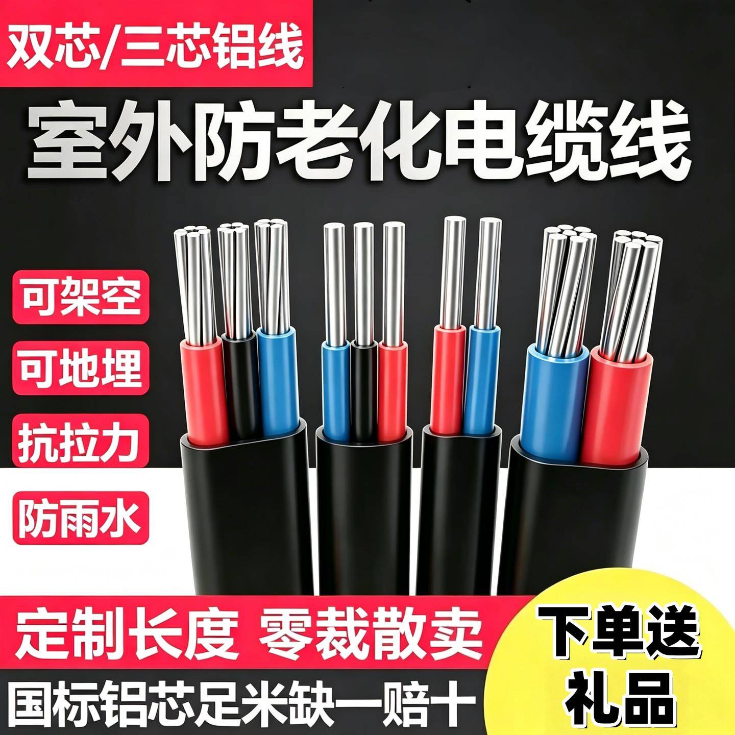 国标2芯3芯电缆线铝芯家用户外电线4 6 10 16 25平方双芯铝线护套