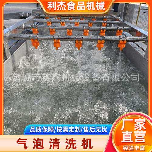 全自动果续蔬气泡清洗机连葱式四季豆清洗工设备韭菜小青净菜PEU