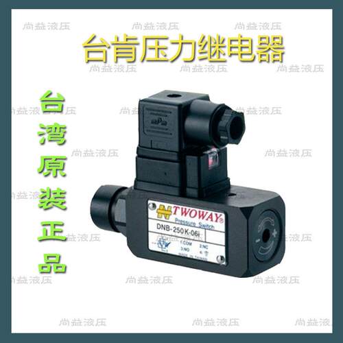 TWOWAY 台肯压力继电器 DNB-250K-06I DNB-150K-22B 040K 070K