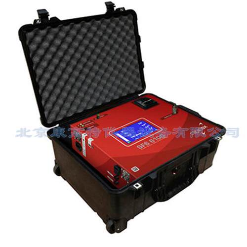 英国CAMBRIDGESENSOR Rapidox SF6 6100 Portable气体分析仪