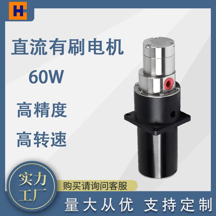 微型磁力齿轮泵24v不锈钢食品级高转速灌装计量调速耐腐蚀磁力泵