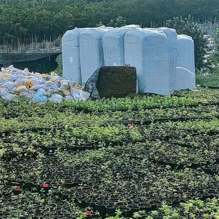 有机营养土种植土通用型养花种菜土绿萝多肉泥土花 进口泥炭土
