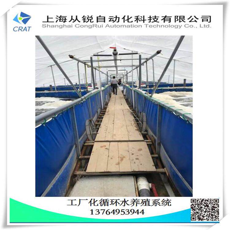 上海从锐500㎡养虾设备/罗氏沼虾循环水养殖/室内高密度养虾系统