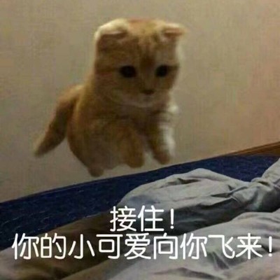 不说假话禾邦营养代餐奶怎么样？真实体验曝光，不看后悔？