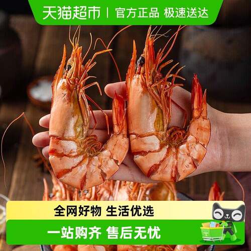 北海印象九节虾干虾王烤虾干即食特大干虾竹节斑节虾煲汤煮粥