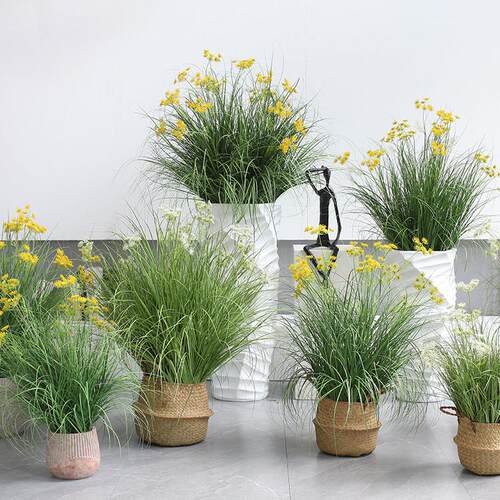 彷真绿色植物满天星草丛北欧ins网红彷生植物室内客厅商店橱窗造