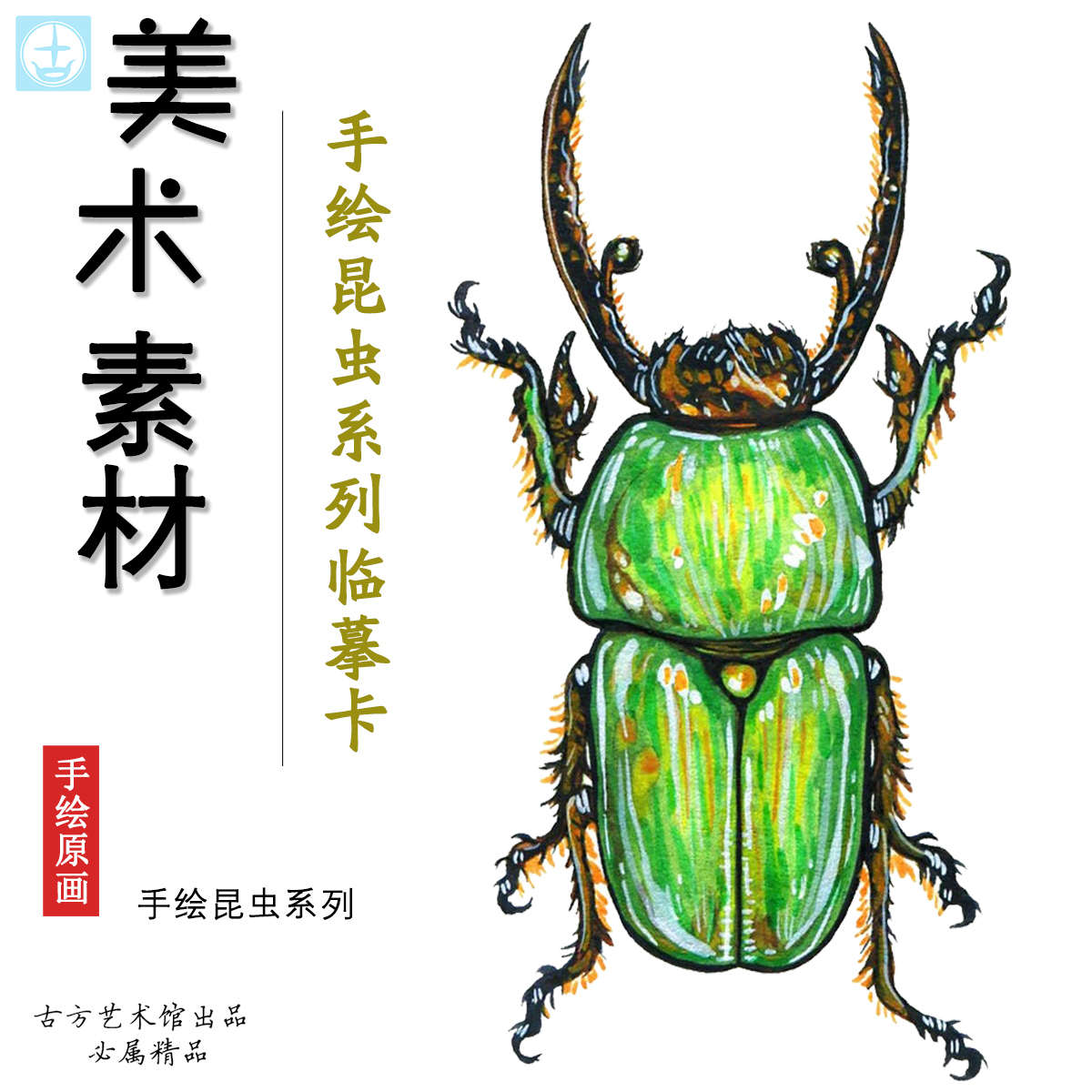 手绘昆虫系列创意个性临摹卡马克笔绘画儿童画重彩铅画室美术培训