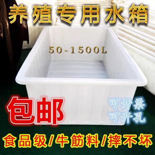 长方形浅龟加厚水产大号瓷砖牛筋 养桶养殖水箱塑料盆养鱼储水新款