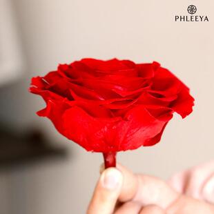 直销新款永生花玫瑰花头9-10cm单朵巨型diy花材礼盒情人节礼品花