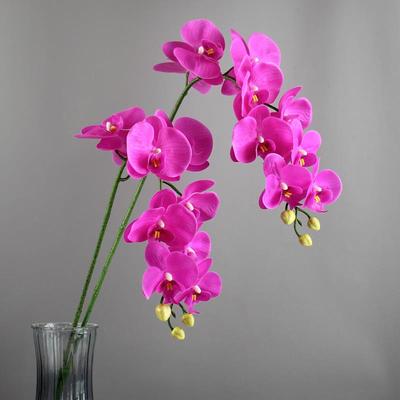 惠艺轩 蝴蝶兰花手感保湿仿真花束摆件客厅假花插花装饰花艺摆设