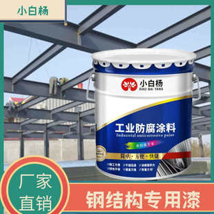 钢结构专用漆金属表面防腐防锈彩钢瓦翻新工程防腐涂料底漆